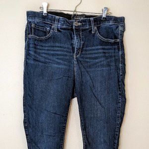 Sky High Skinny Jeans Torrid